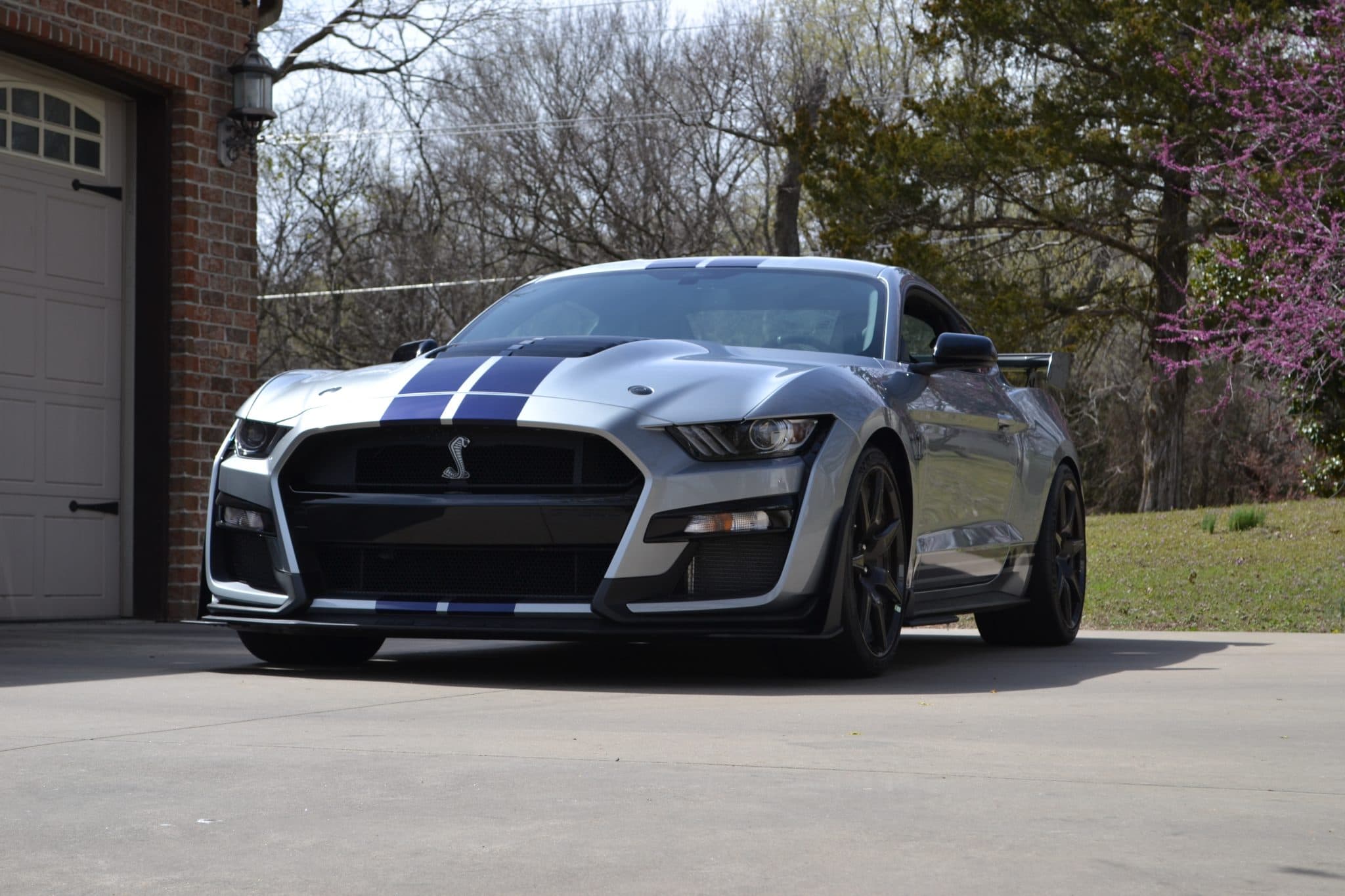 A silver Ford Mustang Shelby GT500 with blue racing stripes from the Carviondealer inventory, photographed from the front three-quarter angle.